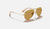 AVIATOR WASHED EVOLVE Gold + Brown Photochromic Evolve 3025
