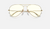 AVIATOR CLEAR EVOLVE Clear Photochromic + Shiny Gold 3025